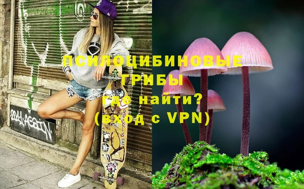 шишки Строитель