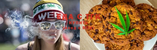 ешки Аркадак